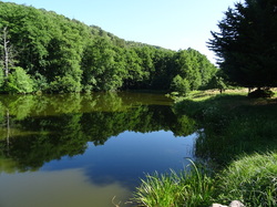 Graufthal et les maisons des rochers par Jacques