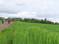 Grisy-Suisnes par Jacques