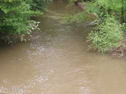 Grisy-Suisnes par Jacques