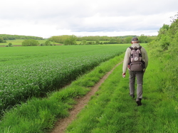 Grisy-Suisnes par Jacques