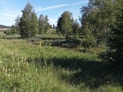 GTJ: 5ème étape par Richard