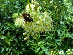 GTJ: 5ème étape par Richard