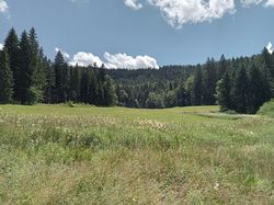 GTJ: 5ème étape par Richard