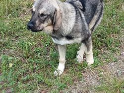 GTJ: 5ème étape par Richard