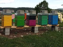 GTJ: 5ème étape par Richard