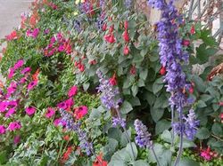 GTJ- Arrivée à Pontarlier et première étape par Richard