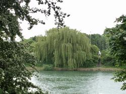 Jablines-Annet par Sylvie