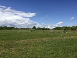 Jablines-Annet par Sylvie