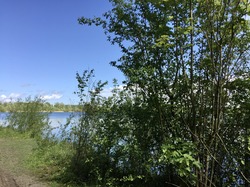 Jablines-Annet par Sylvie