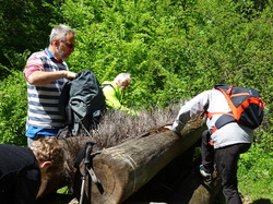 Jablines - Annet par Jacques