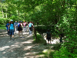 Journée de la randonnée