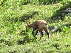 Jura 6ème jour par Jacques