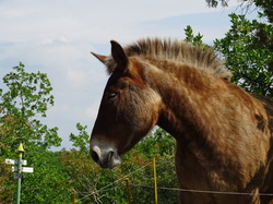 L'Ardèche par Jacques