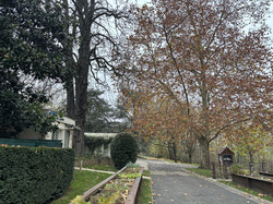L'île Sainte Catherine par Sylvie