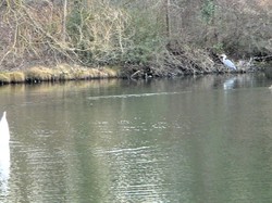 La boucle de Cesson par Jacques