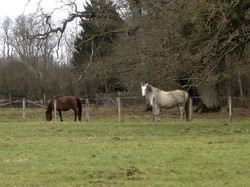 La boucle de Cesson par Jacques