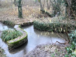 La boucle de Cesson par Jacques