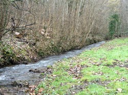 La boucle de Cesson par Jacques