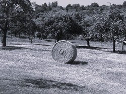 la rando des 5 village et la fabrique à Bretzel par Jacques