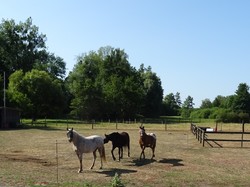 la rando des 5 village et la fabrique à Bretzel par Jacques