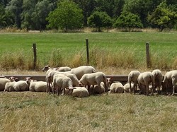 la rando des 5 village et la fabrique à Bretzel par Jacques