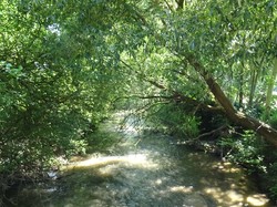 la rando des 5 village et la fabrique à Bretzel par Jacques