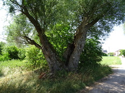 la rando des 5 village et la fabrique à Bretzel par Jacques