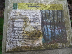 Le chatelet en Brie par Jean-Claude