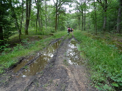 Le chatelet en Brie par Jean-Claude