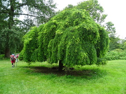 Le chatelet en Brie par Jean-Claude