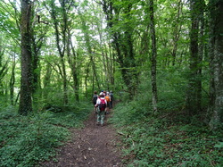 Le chatelet en Brie par Jean-Claude