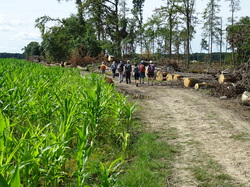 Le chatelet en Brie par Jean-Claude