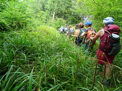 Le chatelet en Brie par Jean-Claude