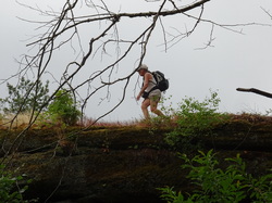 Le Mont Saint Michel et Neuwiller lès Saverne par Jacques