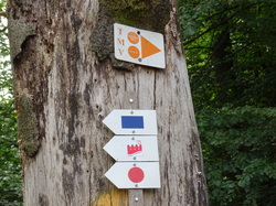 Le Mont Saint Michel et Neuwiller lès Saverne par Jacques
