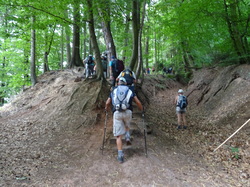 Le Mont Saint Michel et Neuwiller lès Saverne par Jacques