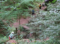 Le Mont Saint Michel et Neuwiller lès Saverne par Jacques