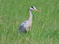 LE Mée sur Seine parJacques