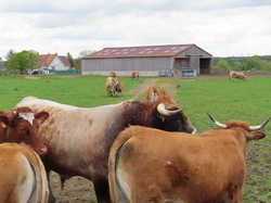 LE Mée sur Seine parJacques