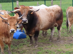 LE Mée sur Seine parJacques
