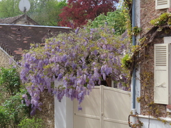 LE Mée sur Seine parJacques