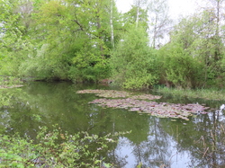 LE Mée sur Seine parJacques