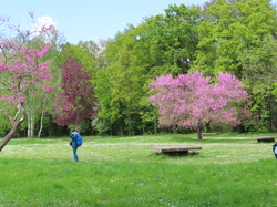 LE Mée sur Seine parJacques