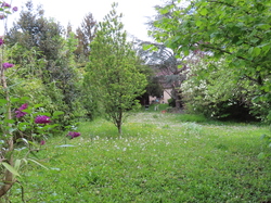 LE Mée sur Seine parJacques