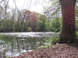 LE Mée sur Seine parJacques