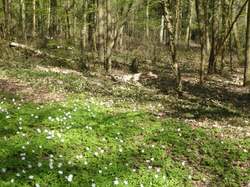 le PR de Coubron (Sylvie et Josselyne)