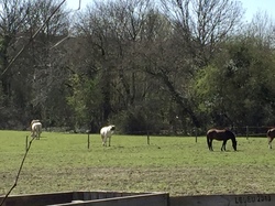 le PR de Coubron (Sylvie et Josselyne)