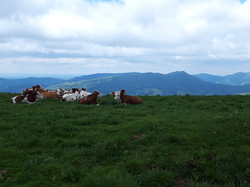 Le Tour du Cantal par Eric