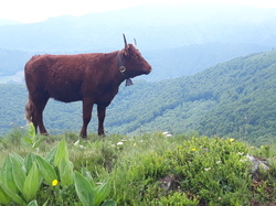 Le Tour du Cantal par Eric