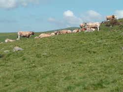 Le Tour du Cantal par Eric